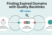 Finding Expired Domains with Quality Backlinks