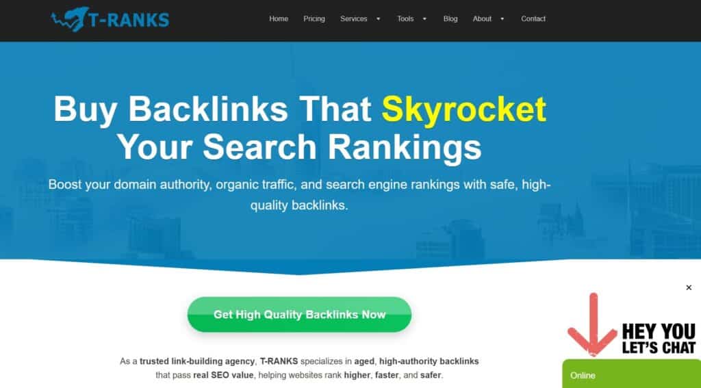 T-RANKS Best SAAS Link Building Agency.jpg