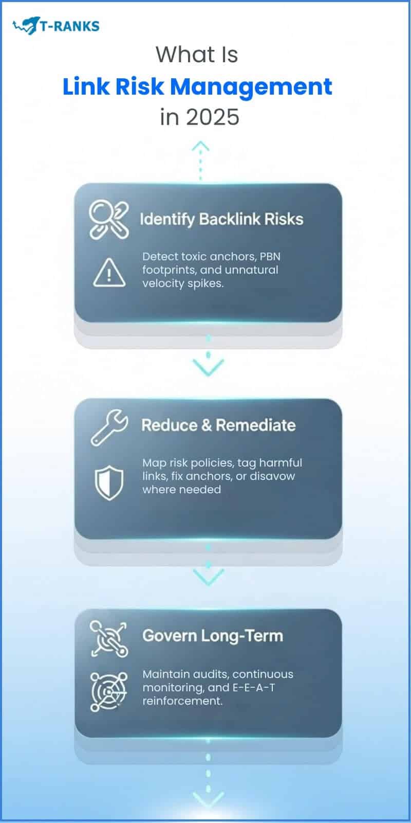 What Is Link Risk Management 2025