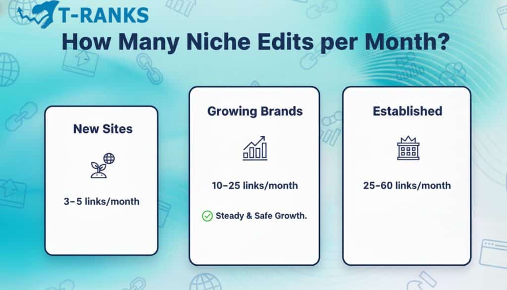 How Many Niche Edits per Month